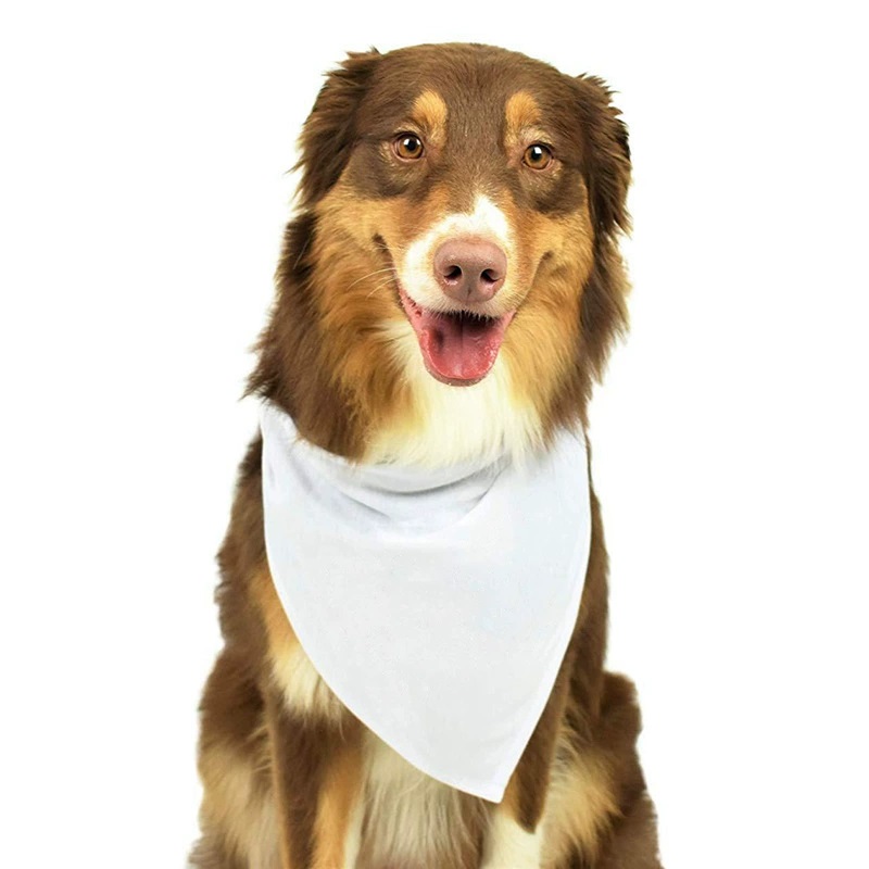 Bandanas vierges en Polyester  - Bandana Blank White avis et prix